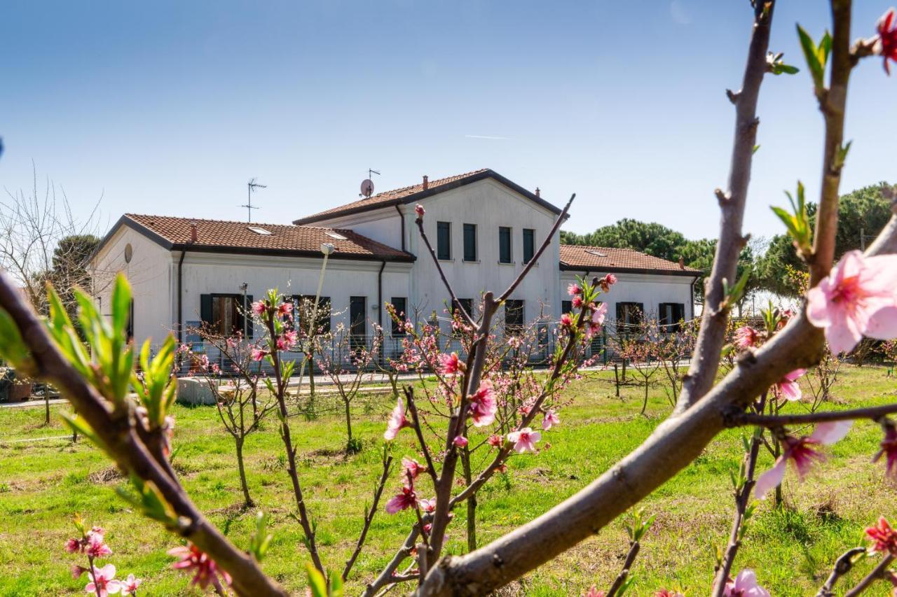 Agriturismo Ca' Baccan Cavallino-Treporti Exterior photo